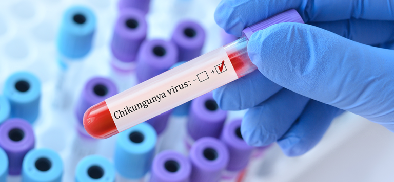 Chikungunya symptoms